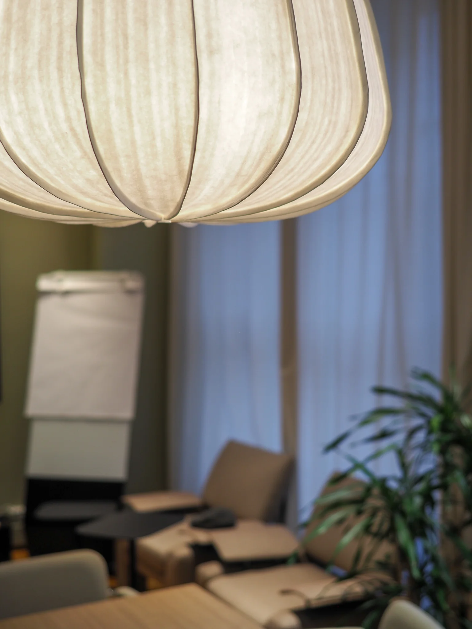 Kokoushuone, suuri valaisin, kasvi, taulu